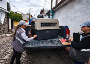 UBA decomisa a dos caninos en condiciones de vulnerabilidad