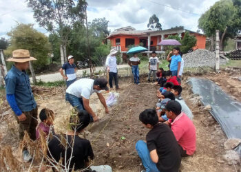 Aprender cultivando: estudiantes de Quiché fortalecen su alimentación con un huerto escolar