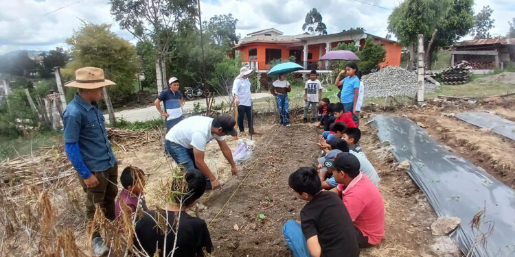 Aprender cultivando: estudiantes de Quiché fortalecen su alimentación con un huerto escolar