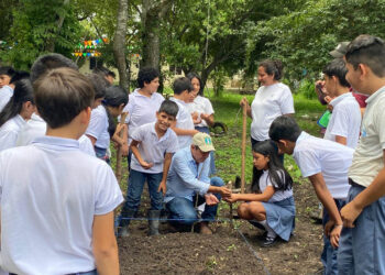 Estudiantes de San Andrés implementan un huerto escolar