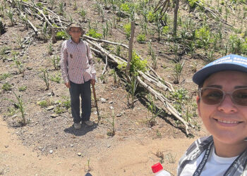 Lluvias previstas favorecerán la recuperación de la humedad en los suelos