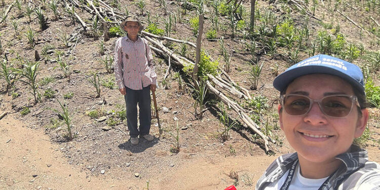 Lluvias previstas favorecerán la recuperación de la humedad en los suelos