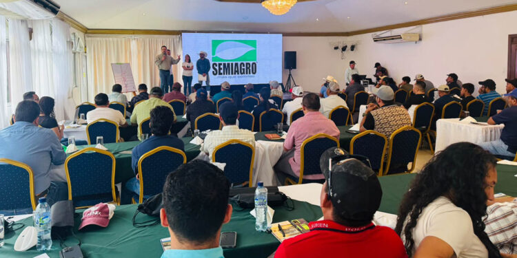 Ganaderos aprenden pastoreo regenerativo y genética adaptada al medio ambiente