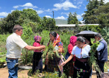 Delegación de Sololá conoce modelo para implementar jardines de plantas medicinales