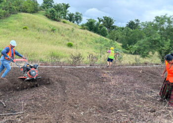Impulsan producción de hortalizas con instalación de reservorio