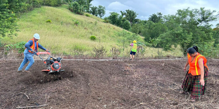 Impulsan producción de hortalizas con instalación de reservorio