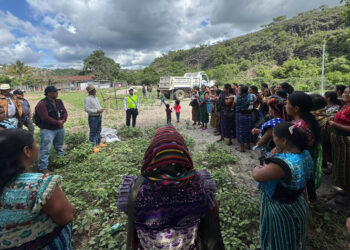 Impulsan la producción local de alimentos en San Andrés Sajcabajá