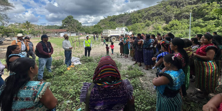 Impulsan la producción local de alimentos en San Andrés Sajcabajá