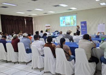 Emiten recomendaciones para fortalecer la producción agrícola en Zacapa, San Marcos e Izabal