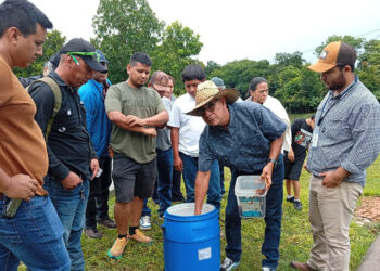 Productores acuícolas fortalecen conocimientos de la producción tilapia