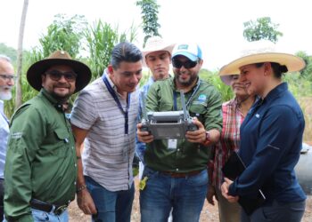 Fincas modelo evidencian resultados de la ganadería sostenible en Petén