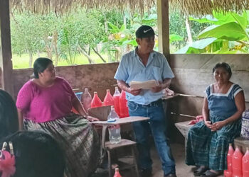 Productores de San Luis, Petén, capacitados en sistemas agroforestales