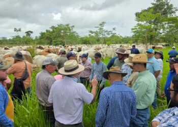 Productores fortalecen prácticas de ganadería regenerativa