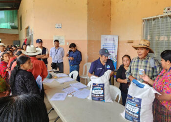 Productores de Alta Verapaz reciben semillas para fortalecer la producción de alimentos
