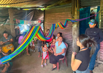 Fortalecen la alimentación familiar con huertos y educación nutricional