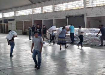 Más de 20 mil familias recibirán alimentos por su participación en proyectos comunitarios
