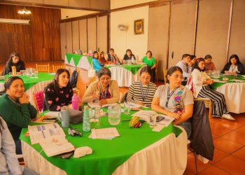 Personal de salud de Quetzaltenango amplía conocimientos en alimentación complementaria para la primera infancia
