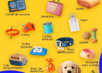 PROTEJA A SUS MASCOTAS ANTE CAÍDA DE CENIZA VOLCANICA