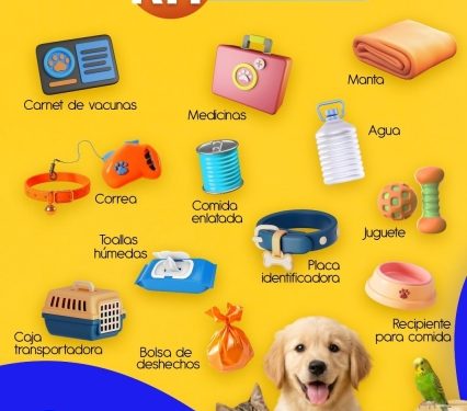 PROTEJA A SUS MASCOTAS ANTE CAÍDA DE CENIZA VOLCANICA