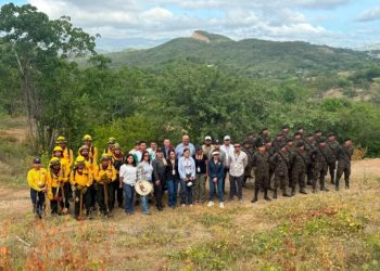 Sistema CONRED impulsa reforestación con 400 árboles en El Progreso e Izabal