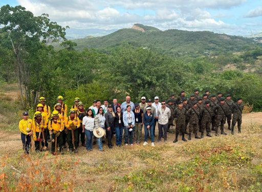 Sistema CONRED impulsa reforestación con 400 árboles en El Progreso e Izabal
