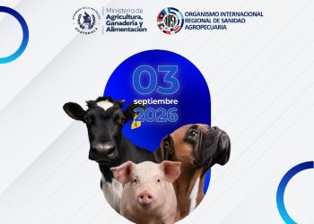 Capacitación fortalece la vigilancia epidemiológica del Gusano Barrenador