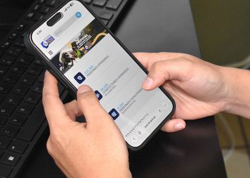 Renuevan portal de Provial para facilitar información, asistencia y trámites