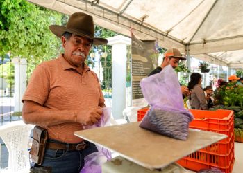 La Feria del Agricultor llega a La Reforma, San Marcos