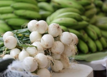 Muy pronto, la Feria del Agricultor estará en Alta Verapaz
