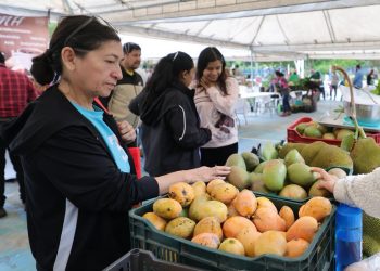 Próxima Feria del Agricultor en Totonicapán