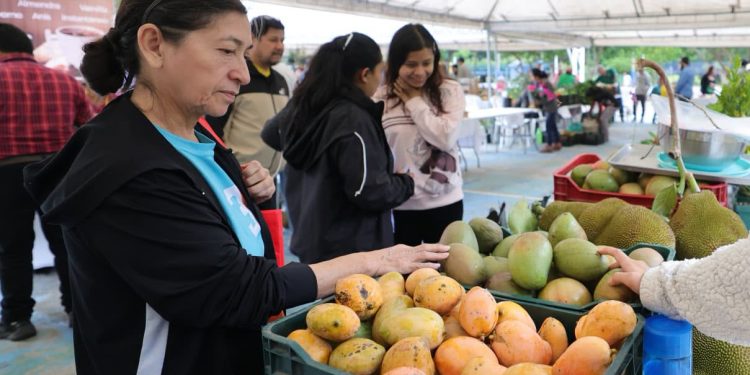 Próxima Feria del Agricultor en Totonicapán