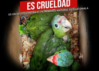 Déjame vivir