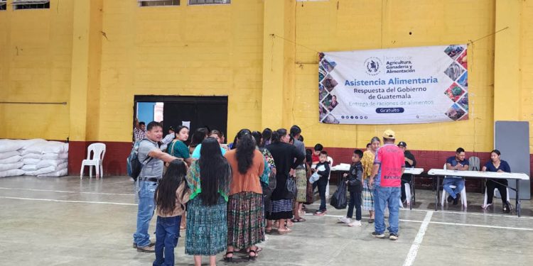 Apoyo alimentario para familias en condición de vulnerabilidad