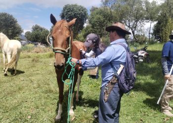 Atención técnica beneficia a caballos de trabajo en Sacatepéquez