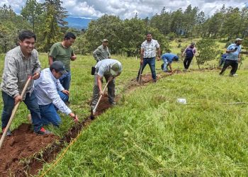 Extensionistas de Quiché y San Marcos aprenden el sistema hidrológico Keyline
