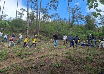 Actividad de reforestación fortalece la masa forestal en la cuenca del río Achiguate