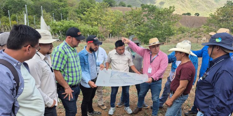 Concluye con éxito el Taller Regional de Keyline en el nororiente del país