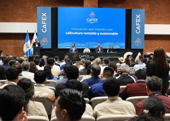 Congreso de la Caficultura promueve innovación y sostenibilidad de cultivo insignia