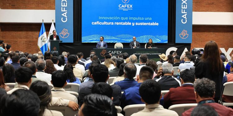 Congreso de la Caficultura promueve innovación y sostenibilidad de cultivo insignia
