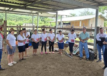 Constatan impacto de labores de extensión rural en Petén