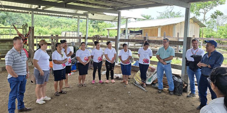 Constatan impacto de labores de extensión rural en Petén