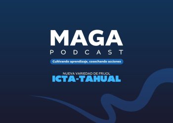 MAGA Podcast en Youtube | Variedad del frijol ICTA-Tahual