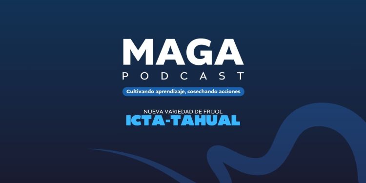 MAGA Podcast en Youtube | Variedad del frijol ICTA-Tahual