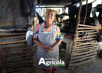 Diccionario Agrícola: Hogar Rural