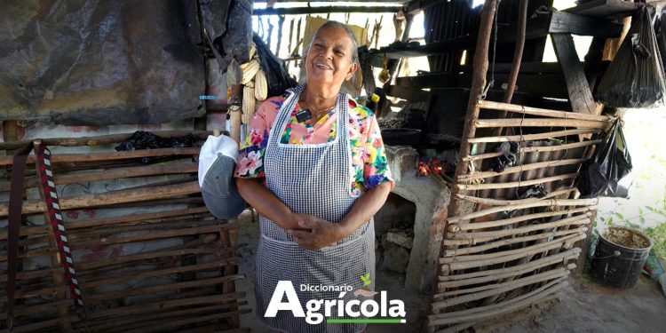 Diccionario Agrícola: Hogar Rural
