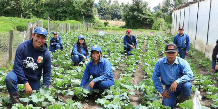Acompáñenos a celebrar la Feria Agropecuaria de la EFA San Marcos
