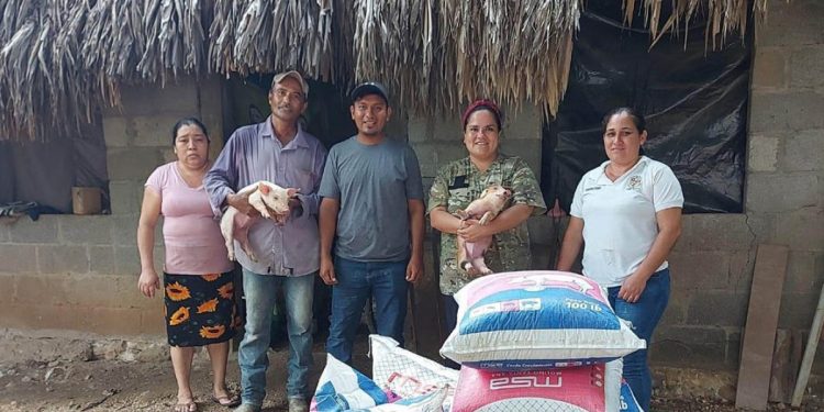 Entrega de lechones fortalece la producción porcina y el mejoramiento genético en Petén