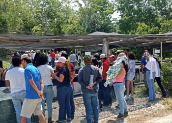 Estudiantes fortalecen sus conocimientos sobre el cultivo de tilapia