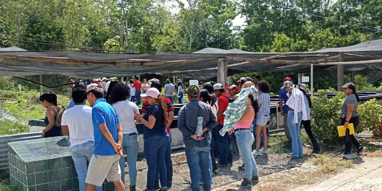 Estudiantes fortalecen sus conocimientos sobre el cultivo de tilapia