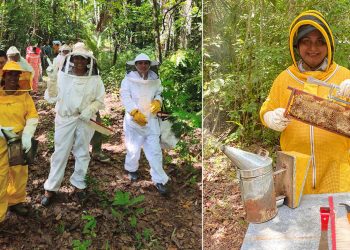 Extensionistas fortalecen conocimientos para mejorar el manejo de apiarios